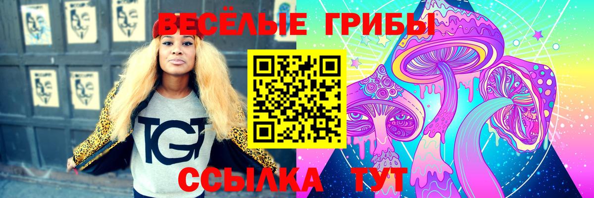 Зеленодольск  Псилоцибиновые грибы мицелий  Галлюциногенные грибы мухоморы  Вход с VPN 